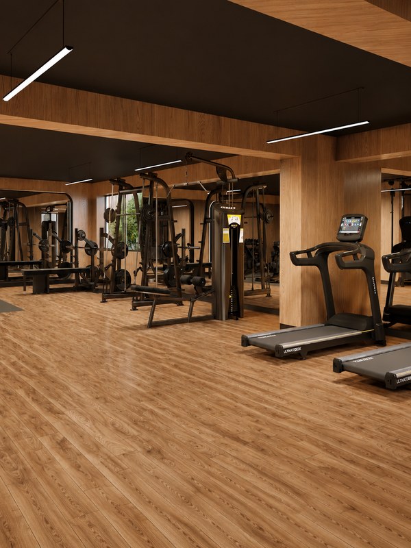 Barranco - Gimnasio